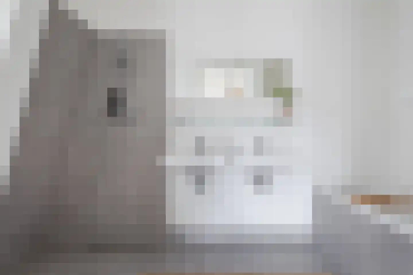 Lingerzijde 37 b Edam thumbnail 21