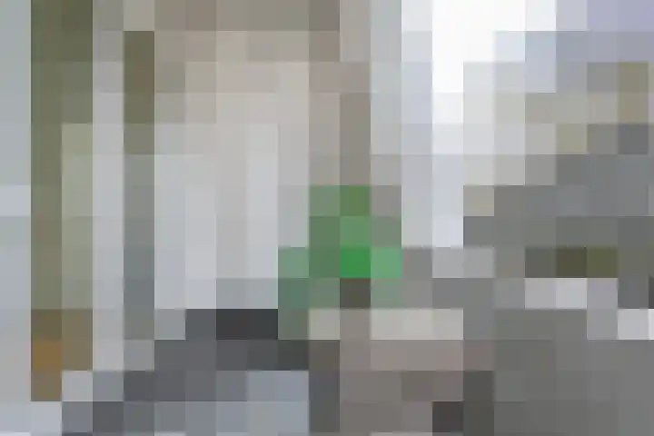 Lingerzijde 37 b Edam thumbnail 24