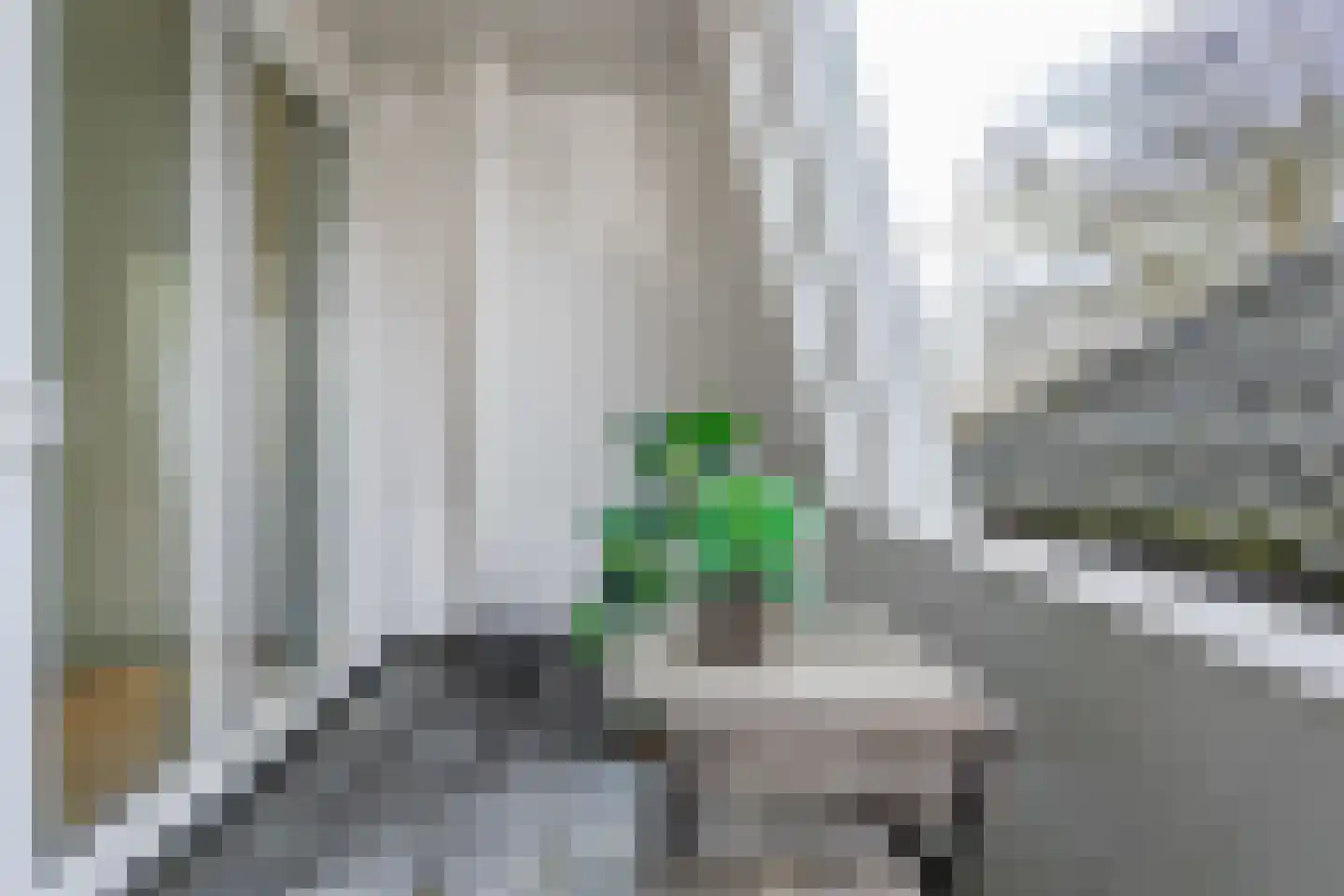 Lingerzijde 37 b Edam thumbnail 24