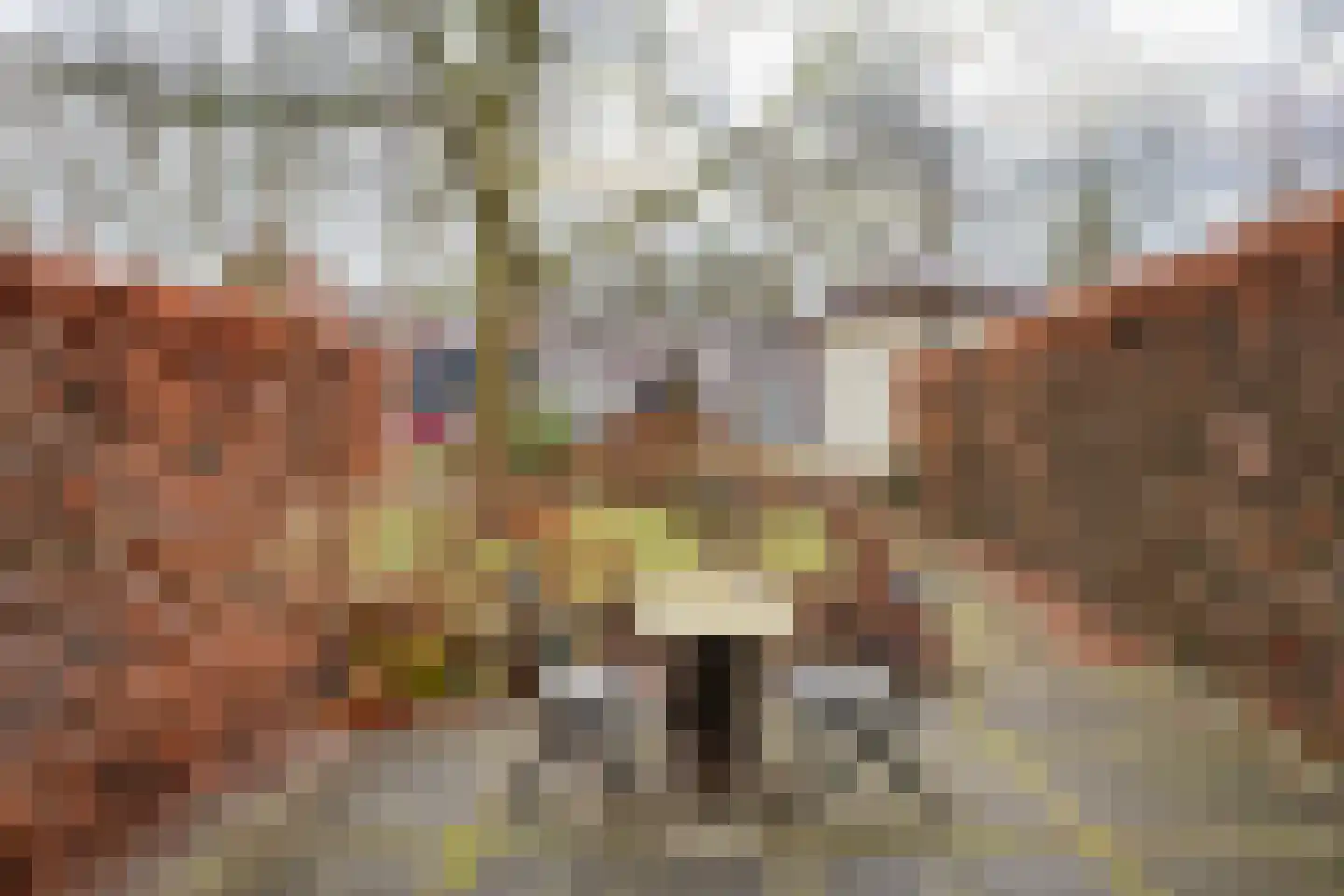 Lingerzijde 37 b Edam thumbnail 26
