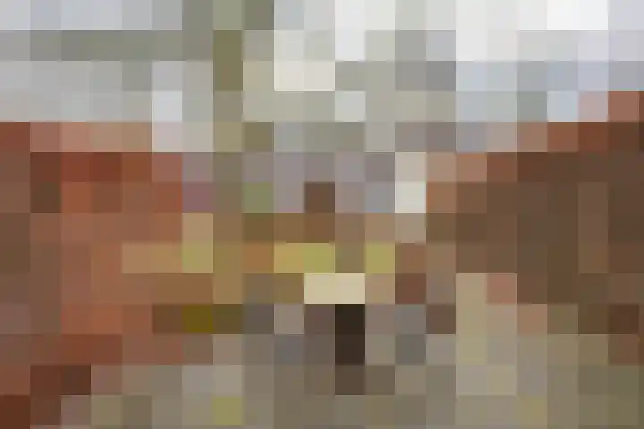 Lingerzijde 37 b Edam thumbnail 26