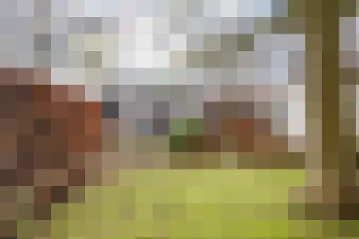 Lingerzijde 37 b Edam thumbnail 27