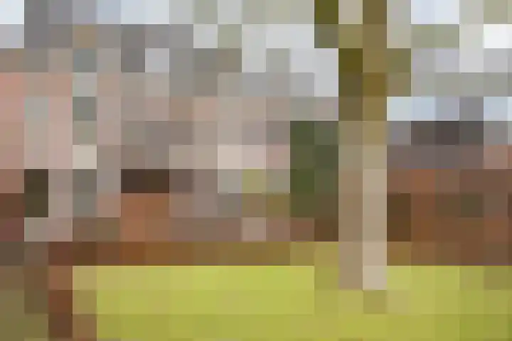 Lingerzijde 37 b Edam thumbnail 28