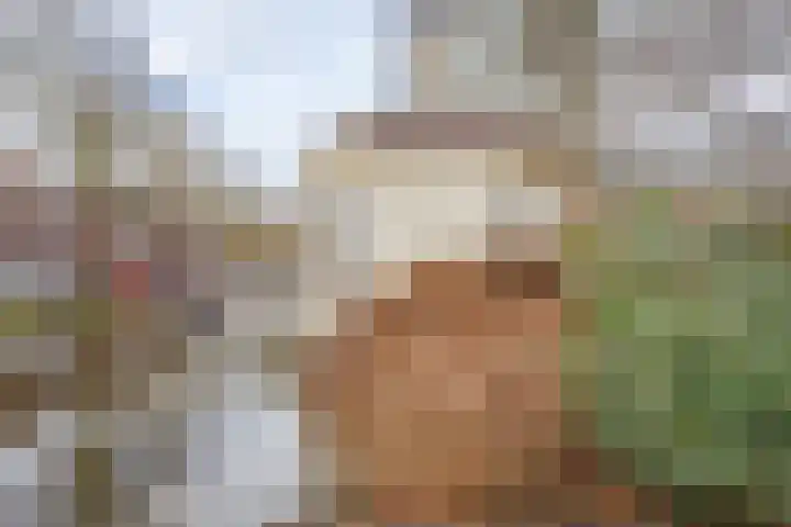 Lingerzijde 37 b Edam thumbnail 29