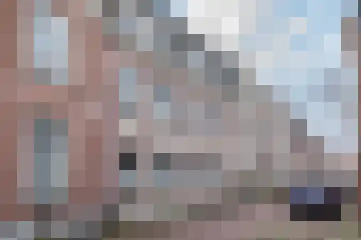 Lingerzijde 37 b Edam thumbnail 4