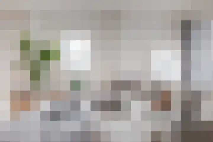 Lingerzijde 37 b Edam thumbnail 6
