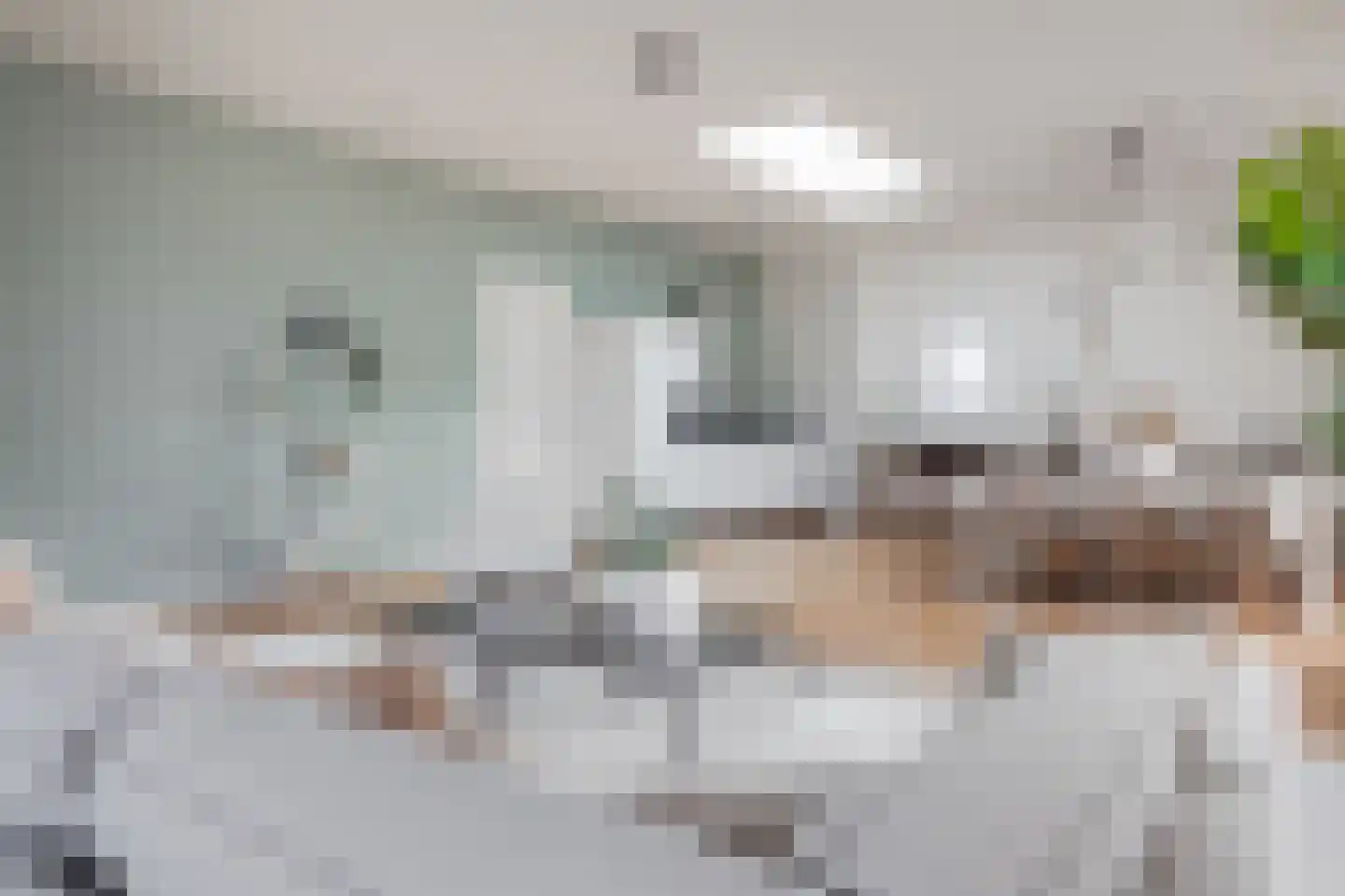Lingerzijde 37 b Edam thumbnail 8