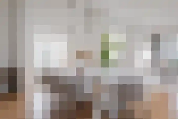 Lingerzijde 37 b Edam thumbnail 9