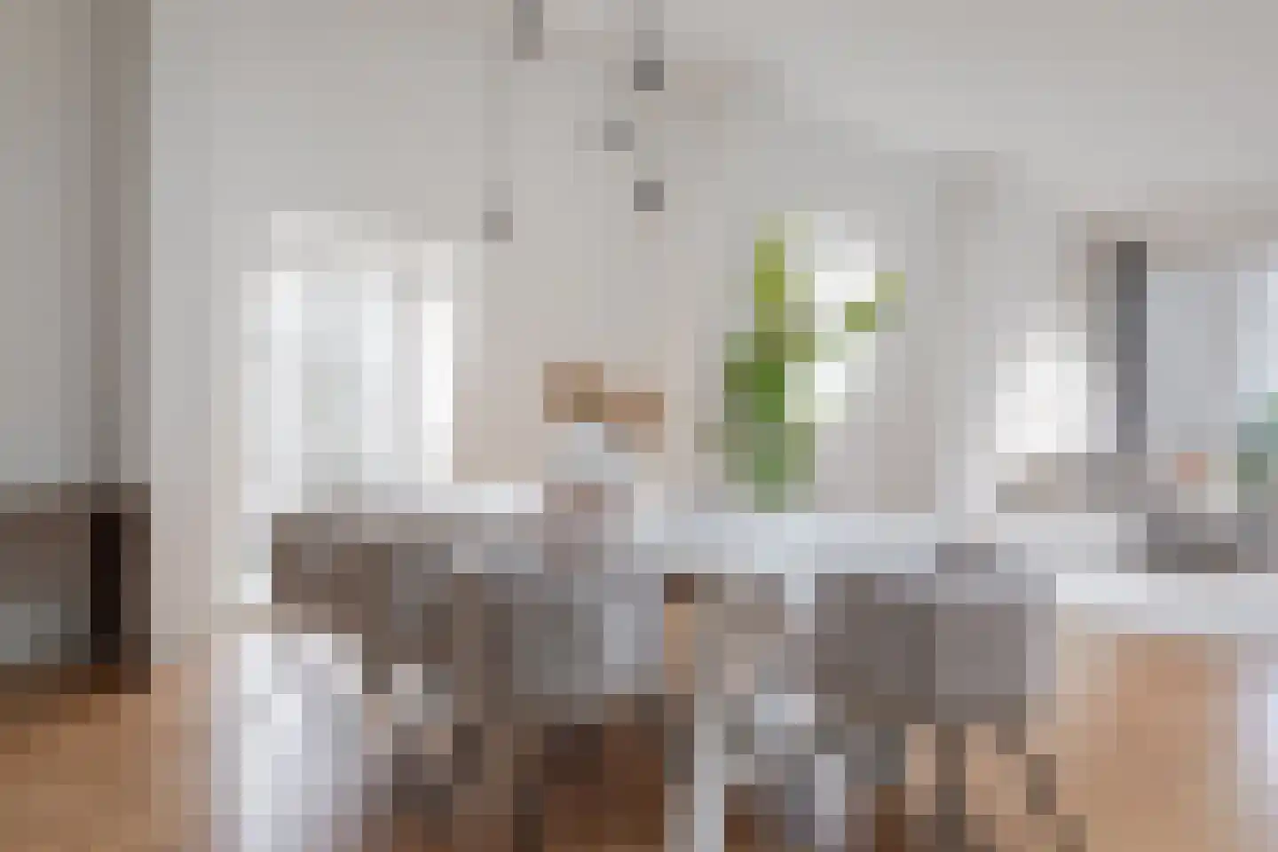 Lingerzijde 37 b Edam thumbnail 9