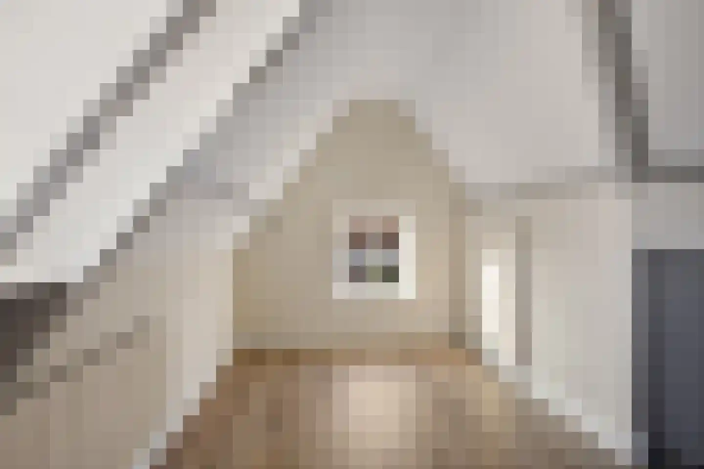 Lingerzijde 57 Edam thumbnail 27