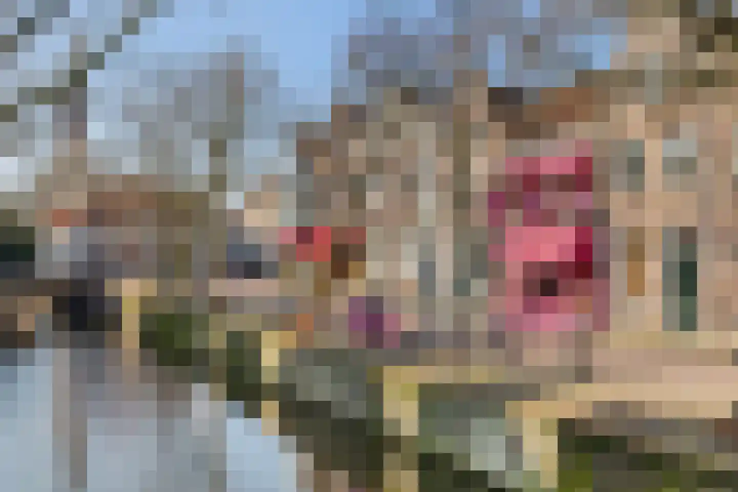 Lingerzijde 57 Edam thumbnail 53