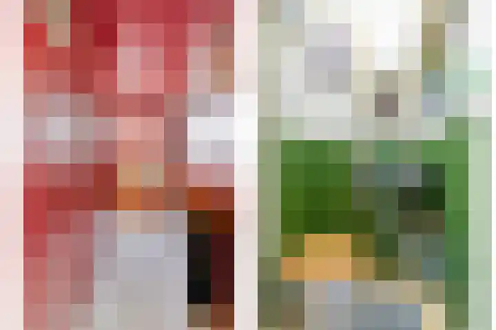 Lingerzijde 65 Edam thumbnail 10