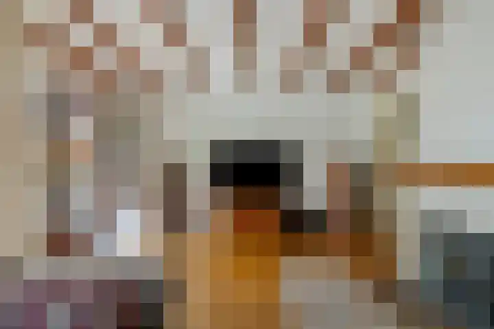 Lingerzijde 65 Edam thumbnail 13