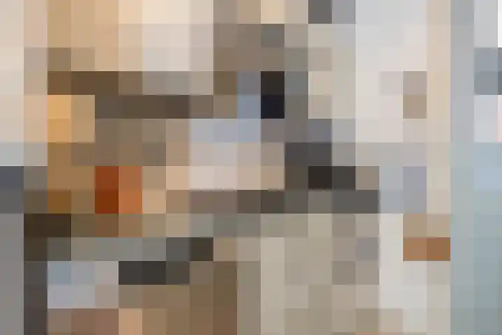 Lingerzijde 65 Edam thumbnail 21