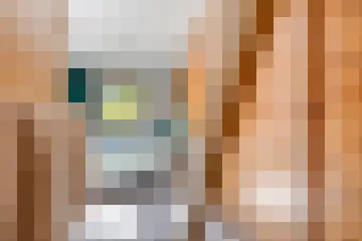Lingerzijde 65 Edam thumbnail 24