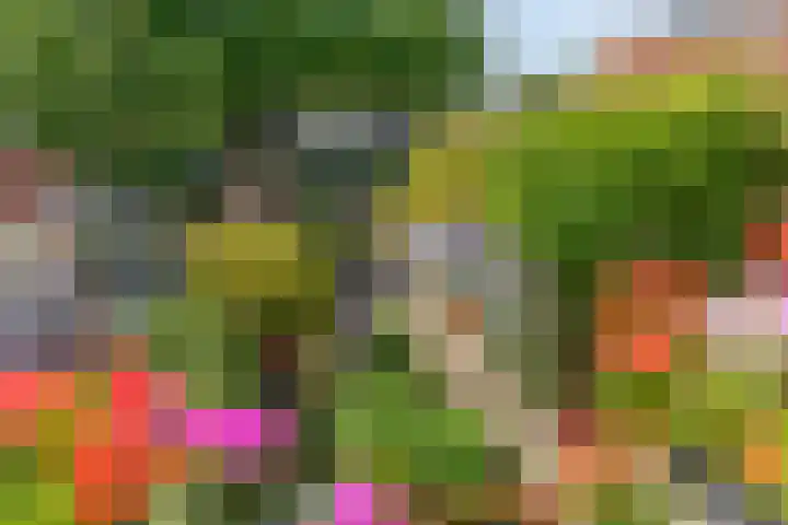 Lingerzijde 65 Edam thumbnail 33