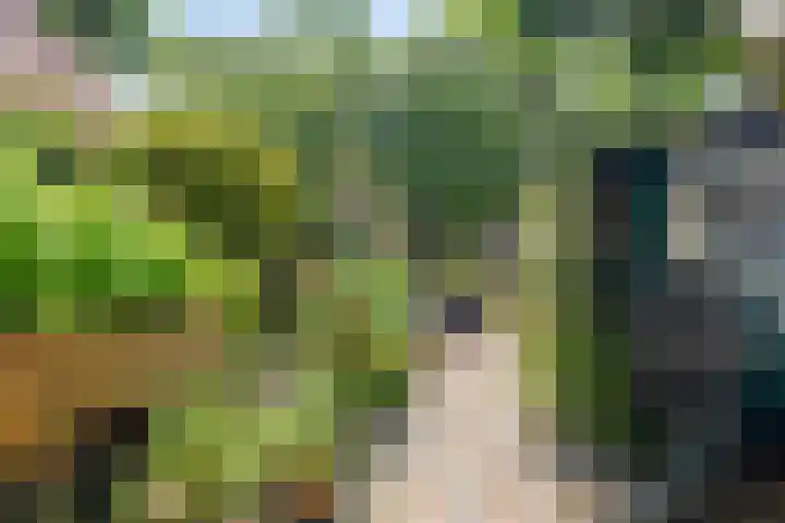 Lingerzijde 65 Edam thumbnail 34