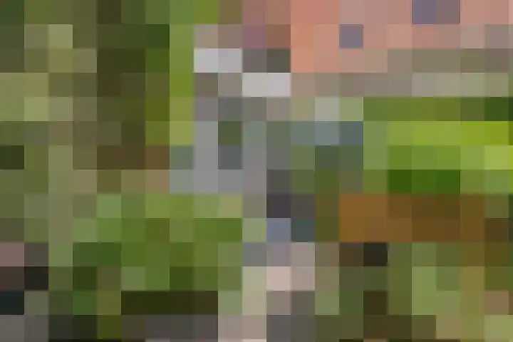 Lingerzijde 65 Edam thumbnail 35
