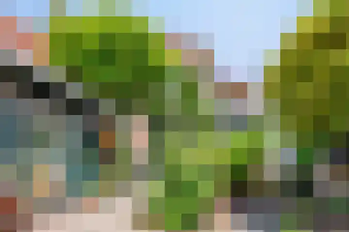 Lingerzijde 65 Edam thumbnail 36