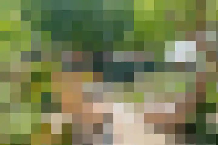 Lingerzijde 65 Edam thumbnail 37