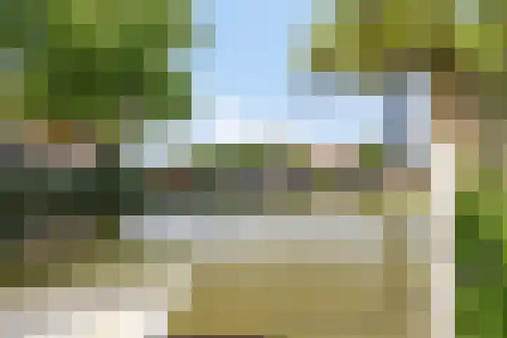 Lingerzijde 65 Edam thumbnail 38