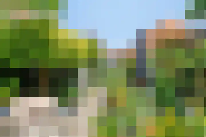 Lingerzijde 65 Edam thumbnail 39