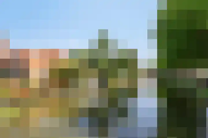 Lingerzijde 65 Edam thumbnail 43