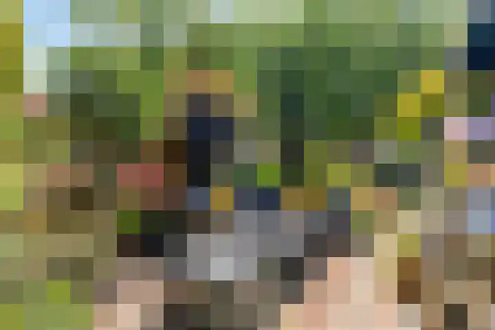 Lingerzijde 65 Edam thumbnail 5