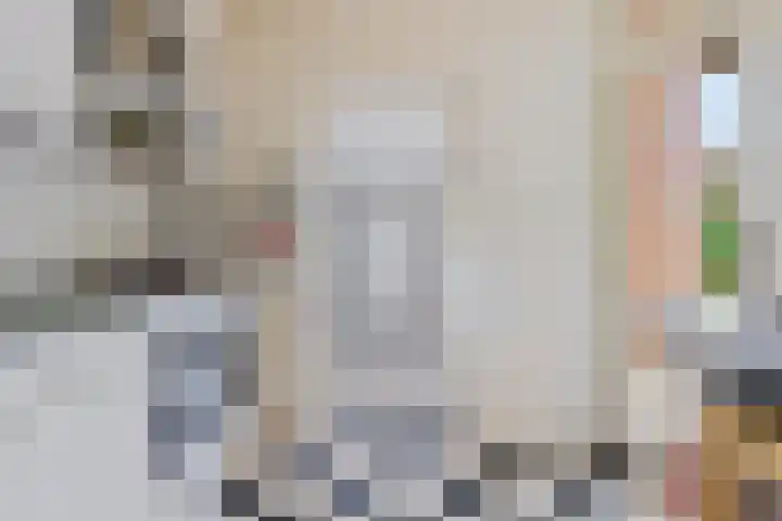 Lingestraat 1 Assen thumbnail 22