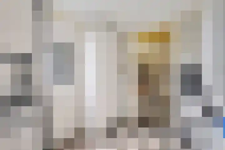 Lingestraat 1 Assen thumbnail 23