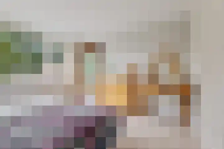 Lingestraat 1 Assen thumbnail 29