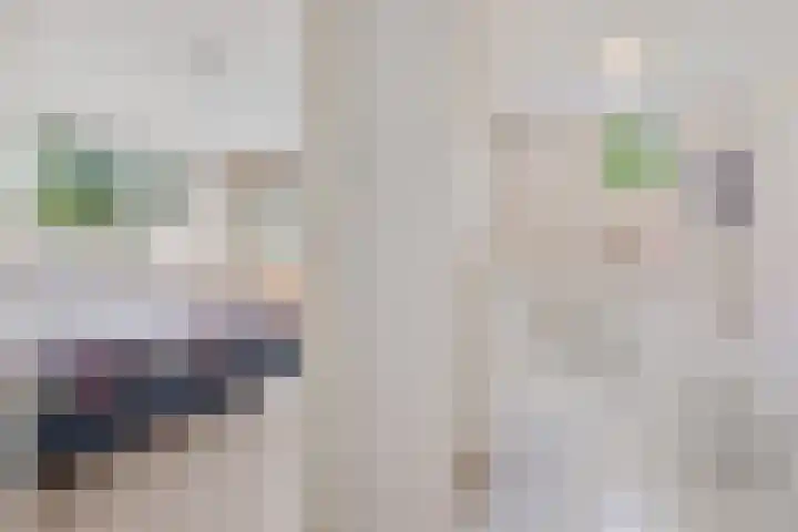 Lingestraat 1 Assen thumbnail 31