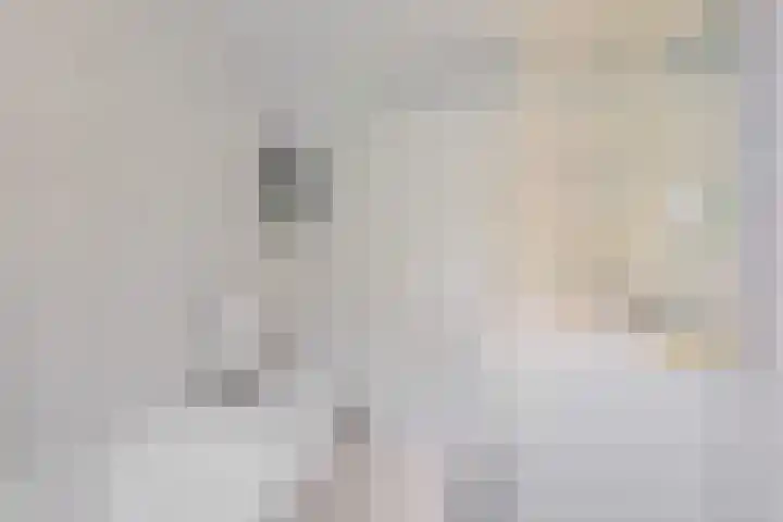 Lingestraat 1 Assen thumbnail 33