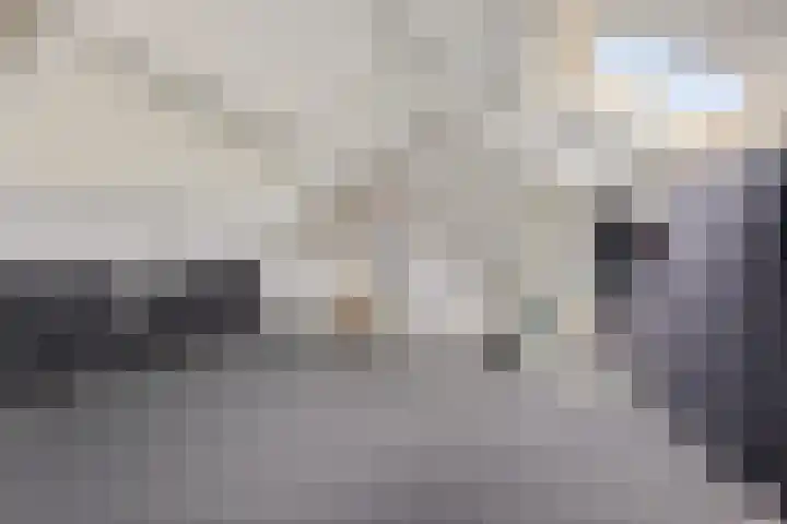 Lingestraat 1 Assen thumbnail 34
