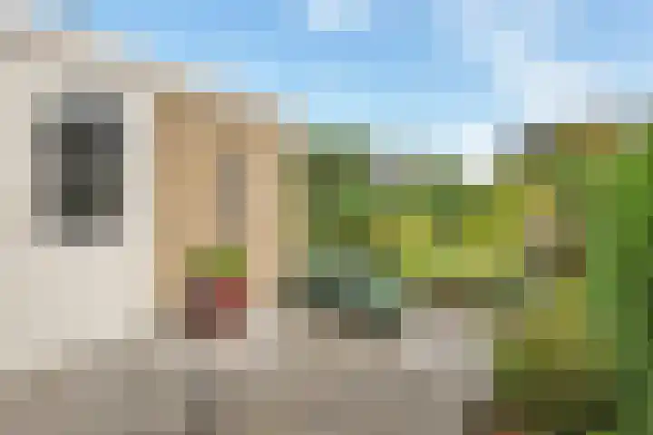 Lingestraat 1 Assen thumbnail 35