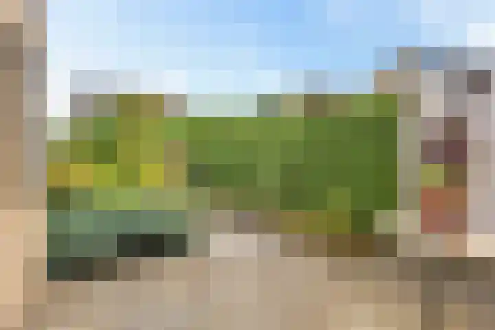 Lingestraat 1 Assen thumbnail 36