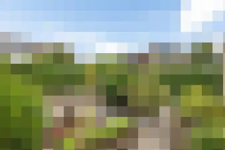 Lingestraat 1 Assen thumbnail 37