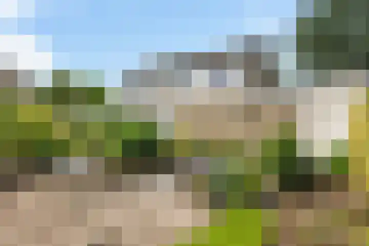 Lingestraat 1 Assen thumbnail 38