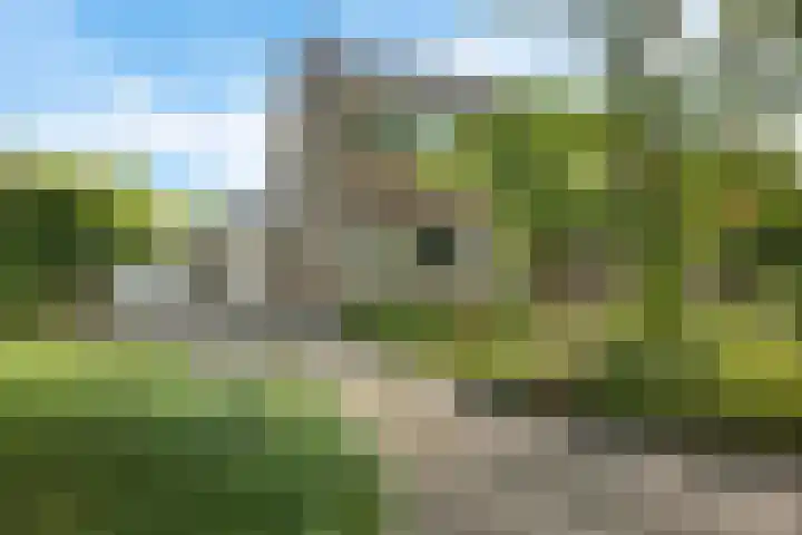 Lingestraat 1 Assen thumbnail 4