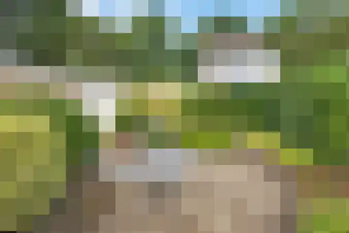Lingestraat 1 Assen thumbnail 40