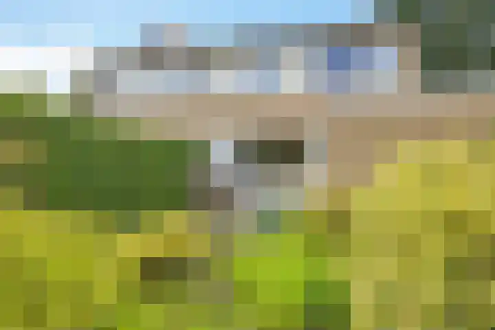 Lingestraat 1 Assen thumbnail 41