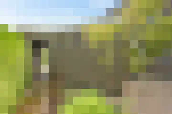 Lingestraat 1 Assen thumbnail 42