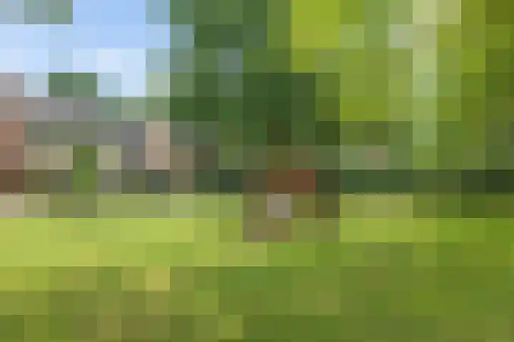Lingestraat 1 Assen thumbnail 43
