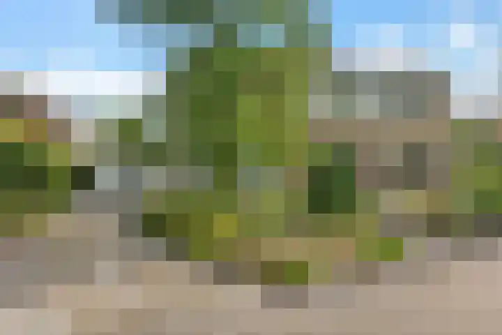 Lingestraat 1 Assen thumbnail 5