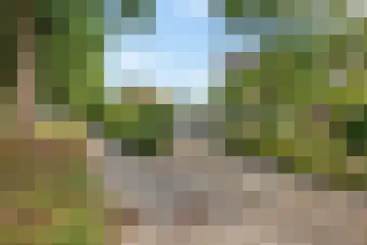 Lingestraat 1 Assen thumbnail 52
