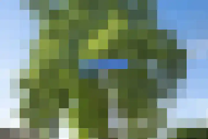 Lingestraat 1 Assen thumbnail 6