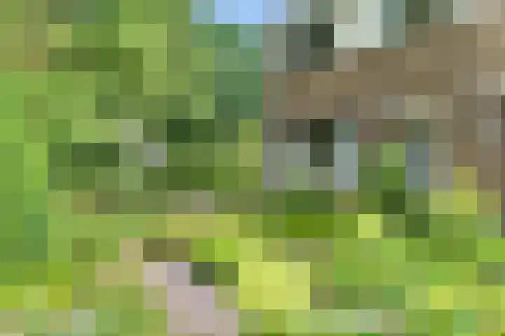 Lingestraat 1 Assen thumbnail 9