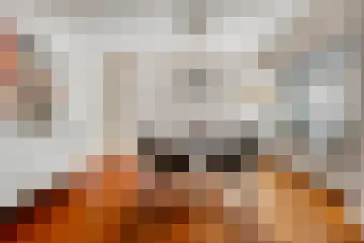 Lingestraat 1 Eindhoven thumbnail 12