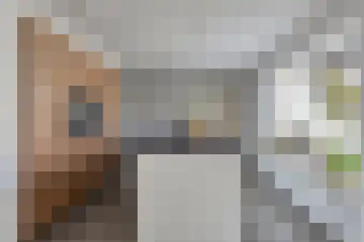 Lingestraat 1 Eindhoven thumbnail 14