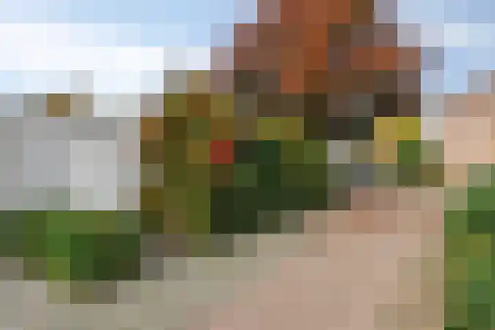 Lingestraat 1 Eindhoven thumbnail 34